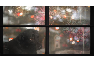 De la préparation à la réalisation: le guide sur les orages & les feux d'artifice