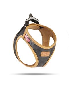 Curli Geschirr Apfelleder Schwarz