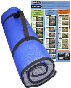 K9FITbed Übungsmatte blau