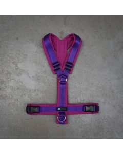 Anny-X Geschirr LE Fun beere/veilchen