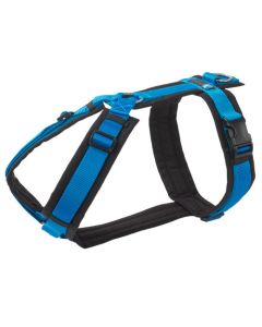 Anny-X Geschirr Fun türkis-schwarz