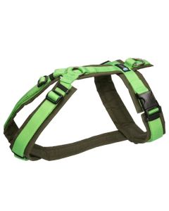 Anny-X Geschirr Fun olive-hellgrün