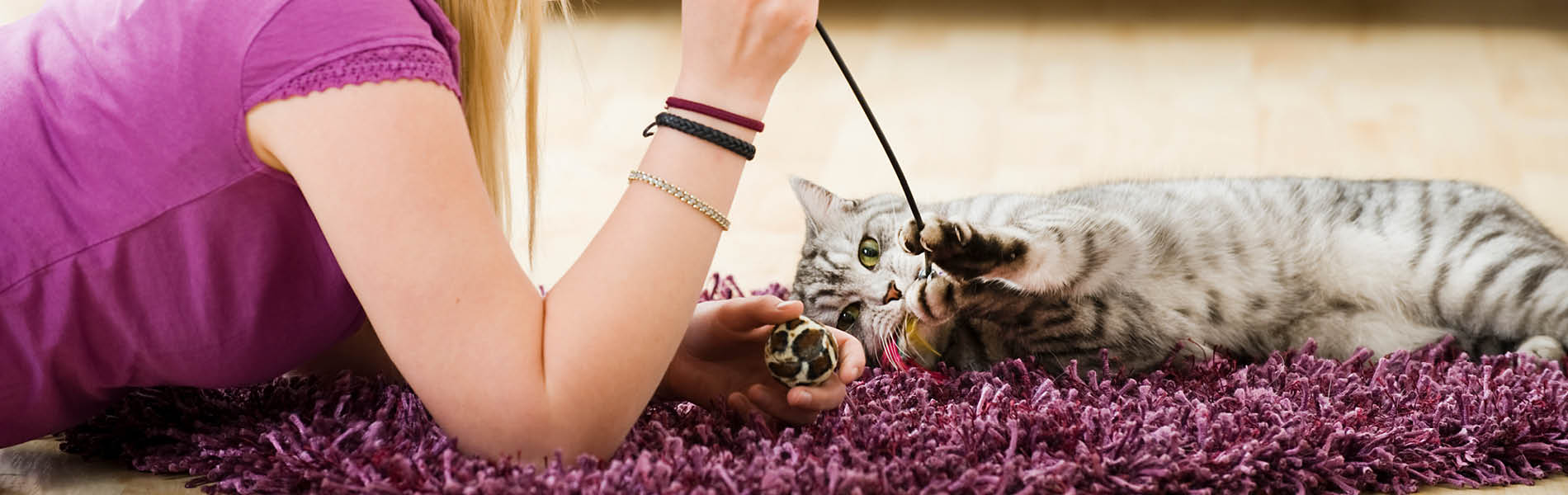 Jouets pour chats 1