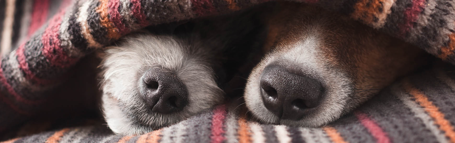 Gemütliches Zuhause 1