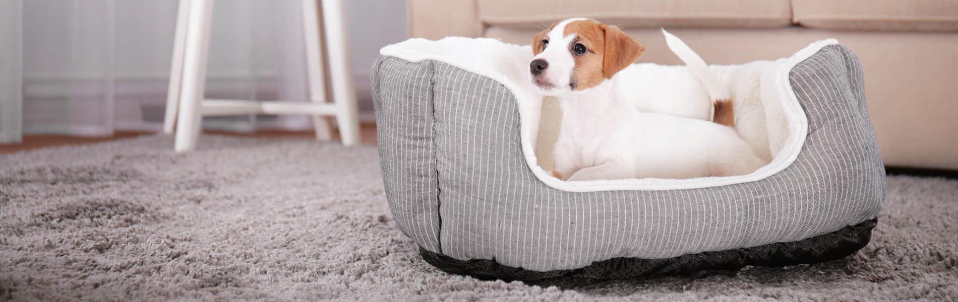 Petit nid douillet 2