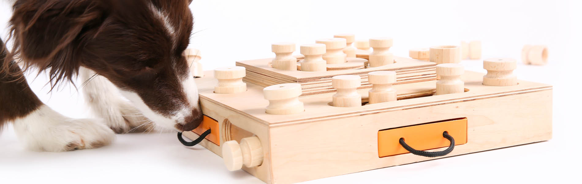 Intelligenz- & Beschäftigungsspiele für Hunde 3