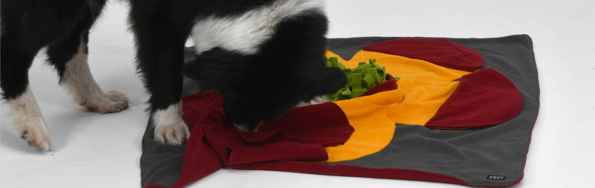 Jouets d'intelligence & activité pour chiens 4