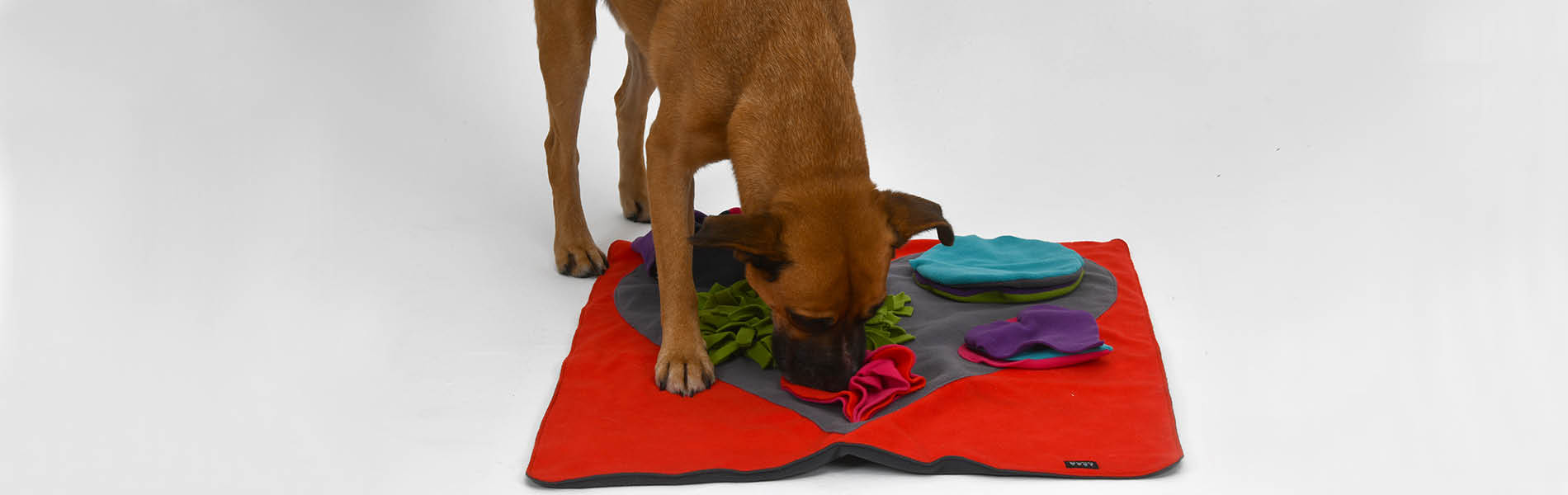 Belohnungssnacks für Hunde 3