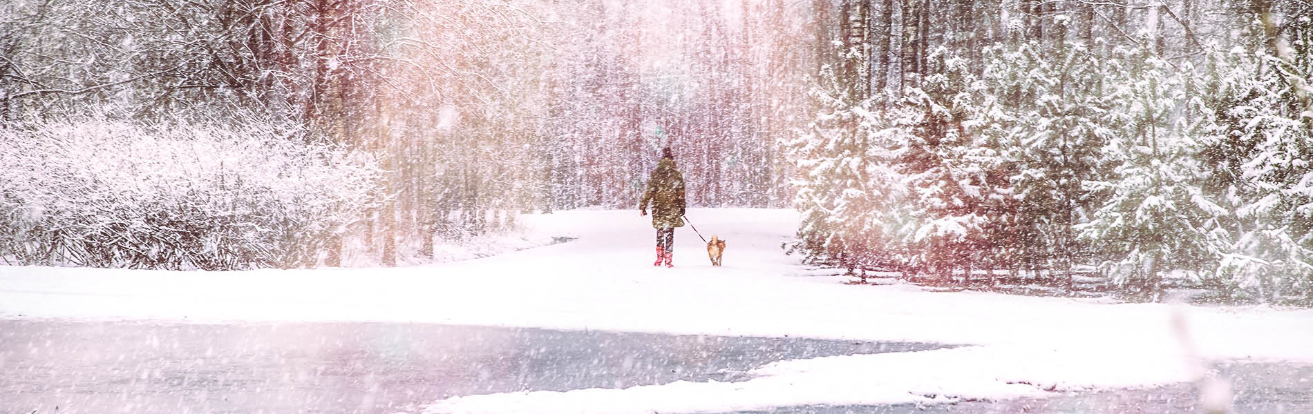 Frauchen & Herrchen 1