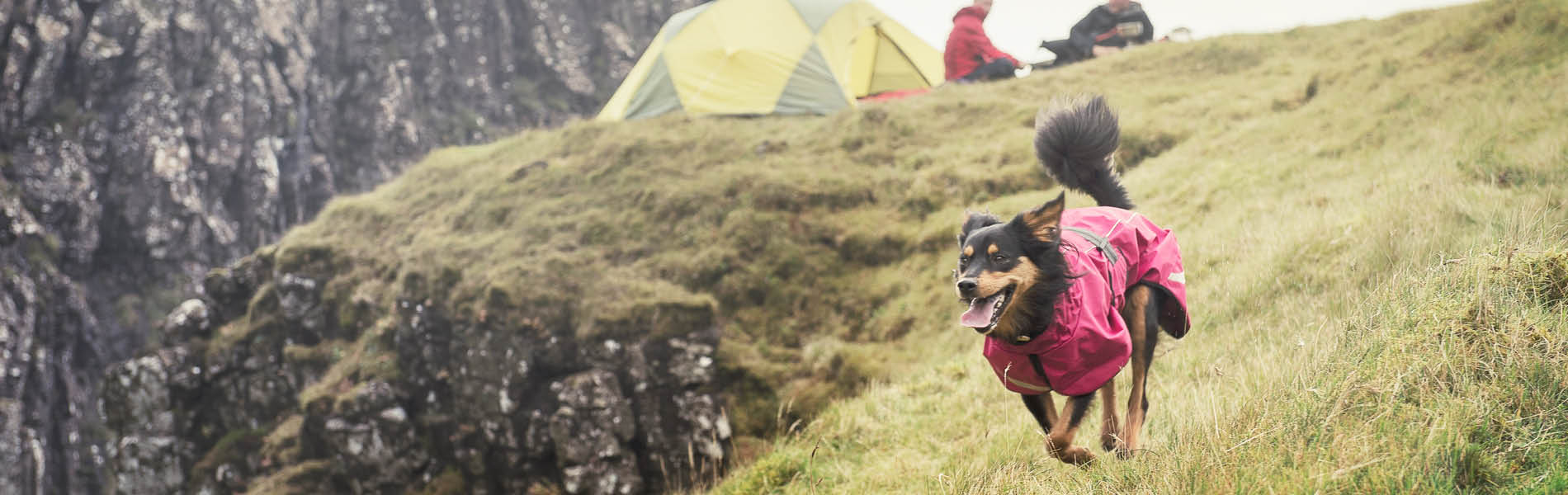 Manteaux pour chiens 1