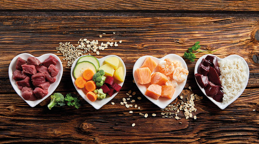 B.A.R.F. pour chiens & chats