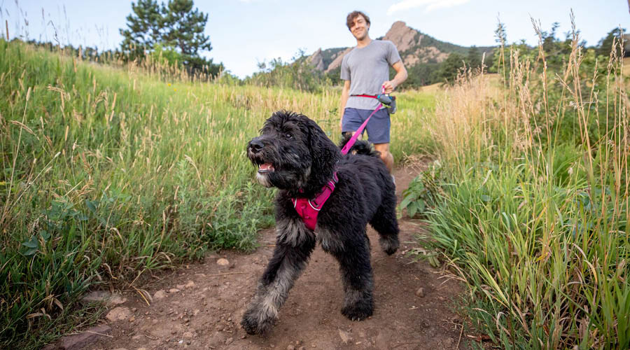 Hüftgurte & Geschirre