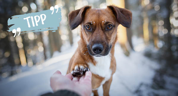 Für ein sauberes High-Five