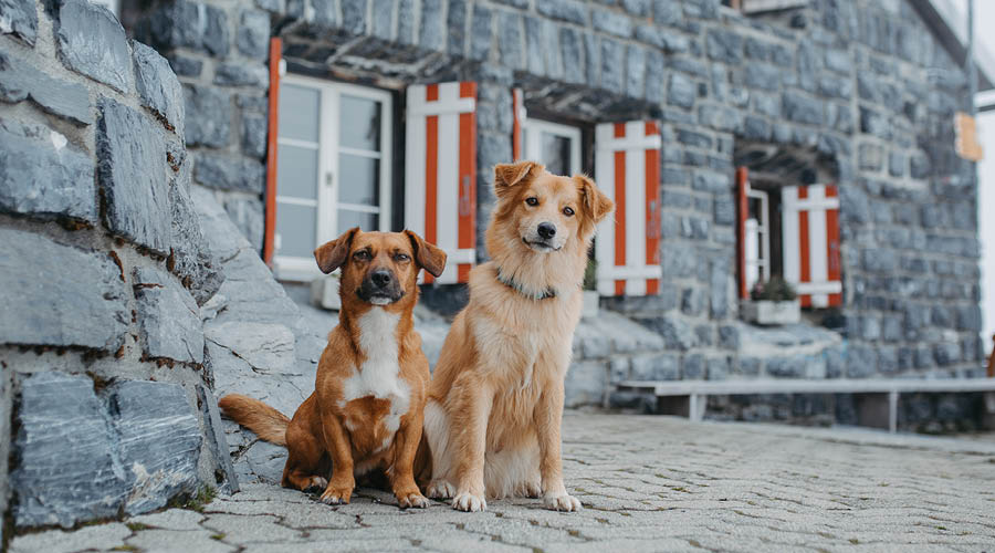 Ferien im Hotel & Ferienhaus