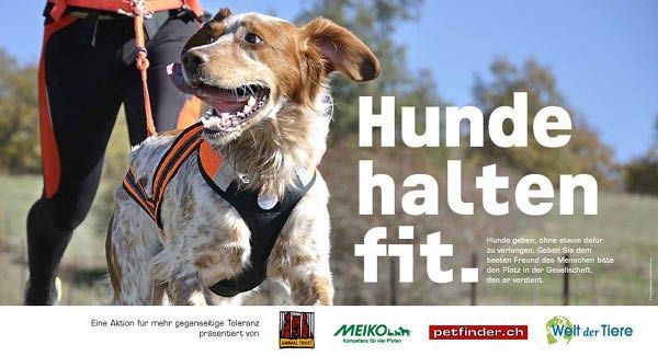 Hunde halten fit