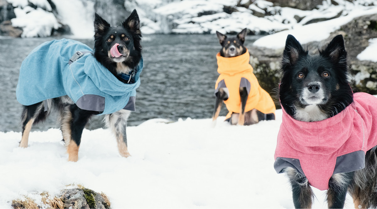 Manteaux pour chiens