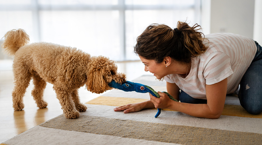 Indoor-Beschäftigung