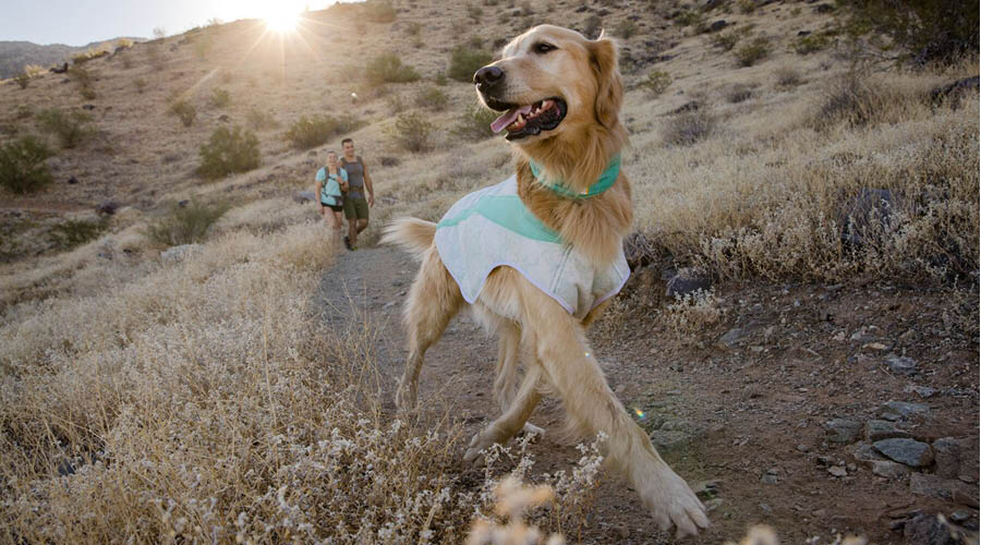 Kühlwesten & -Matten