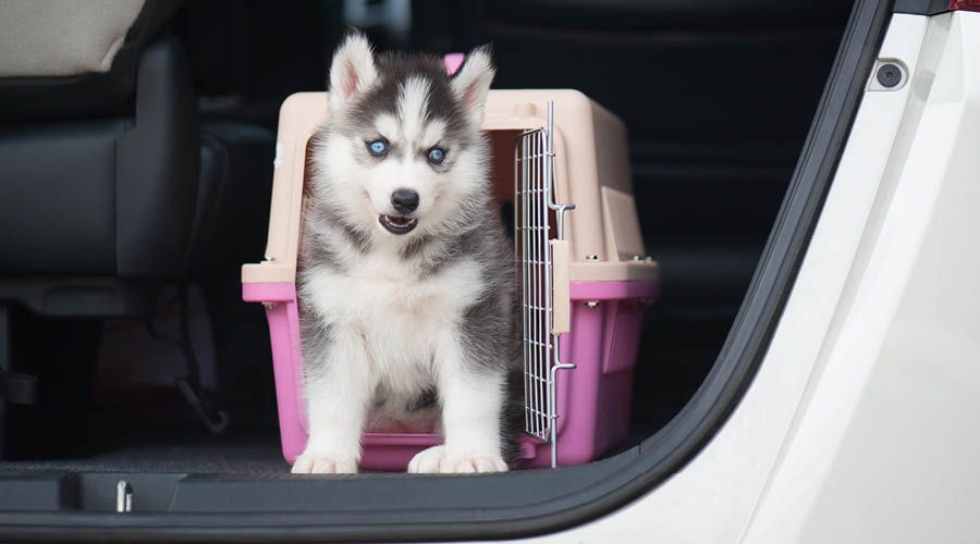 Transportboxen Mobil