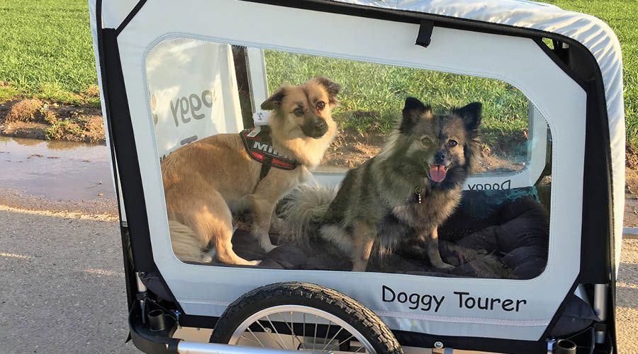 Buggys, Anhänger & Rucksäcke