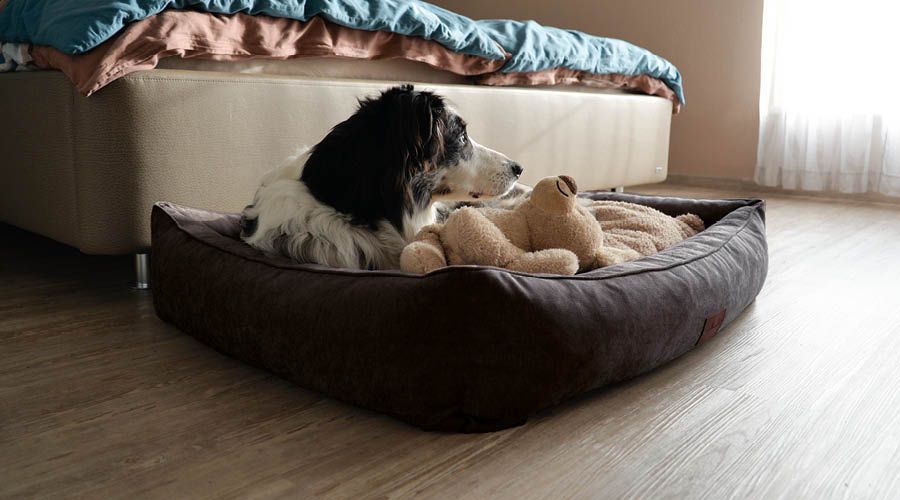 Orthopädische Betten