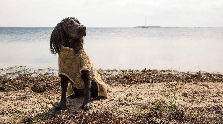 Trocknungstücher & Mäntel