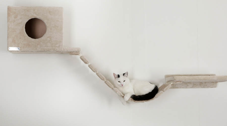 Couchettes pour chats