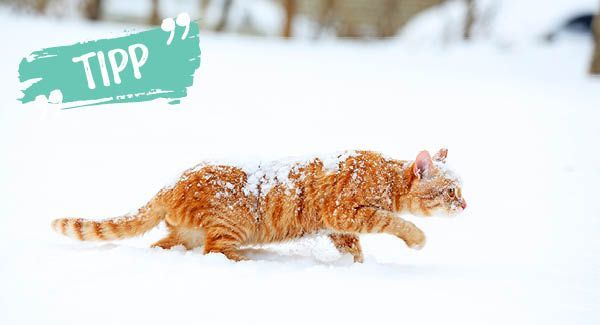 Jetzt wird's gemütlich