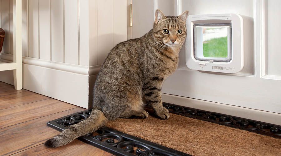 Katzentüren & Schutznetze