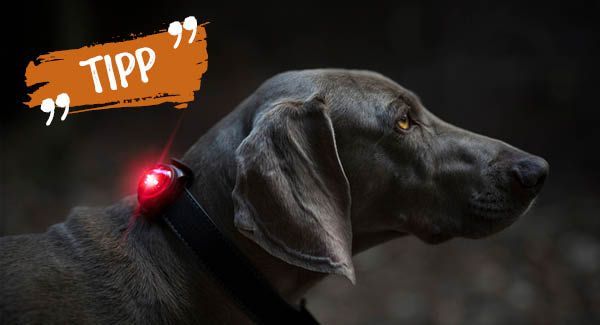 Mit Sicherheit gut sichtbar