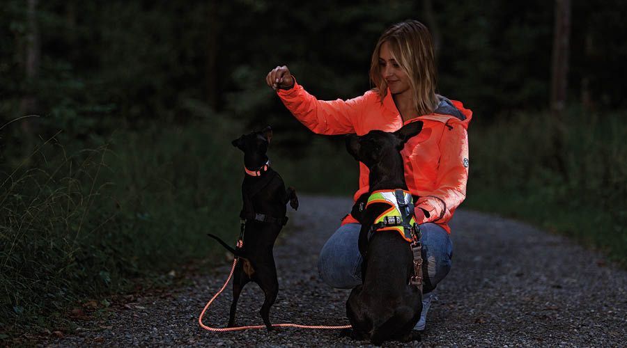 Leinen & Halsbänder