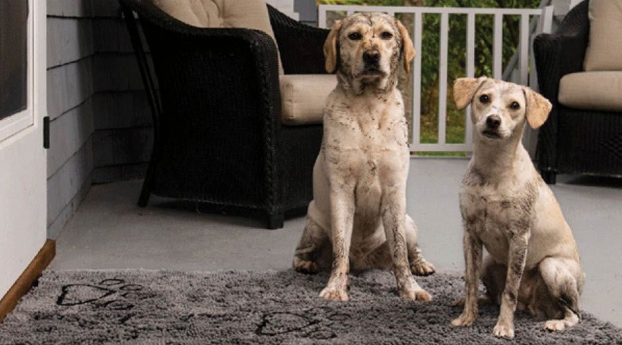 Trocknungstücher & -Matten