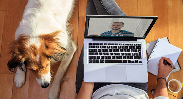 Le vétérinaire sur votre smartphone