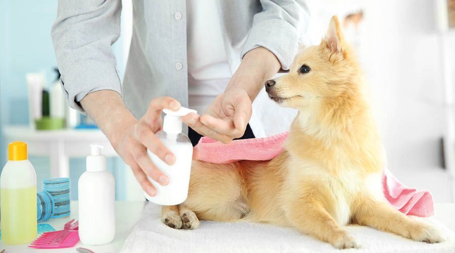 Soins de la peau et du pelage