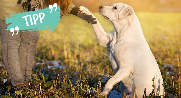 Für ein sauberes High-Five