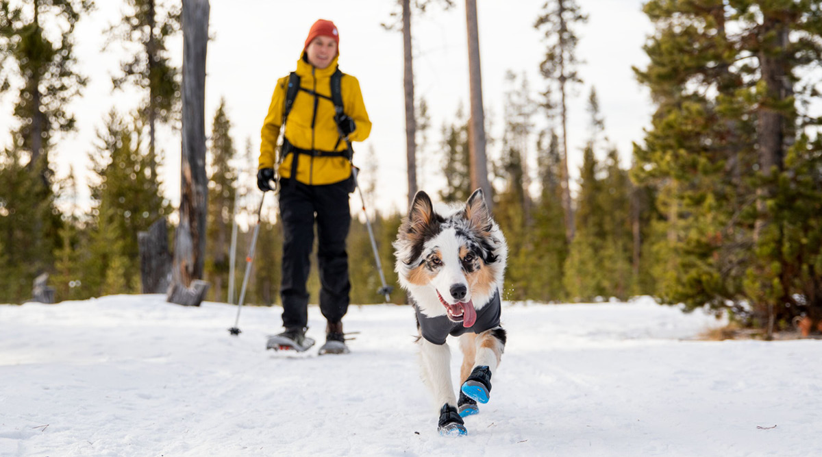 Pfotenschutz & -Pflege