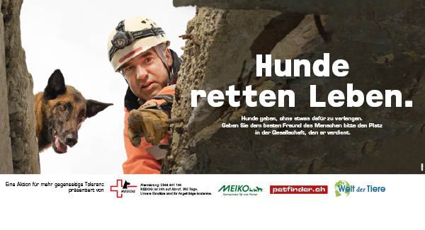 Hunde retten Leben