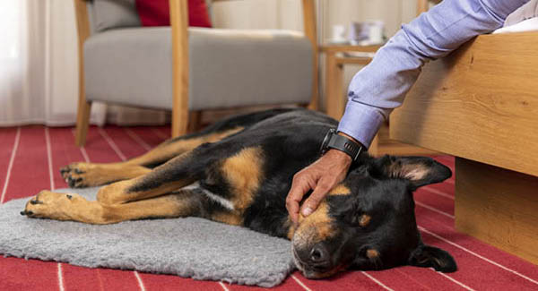 8 hôtels de villégiature pour des vacances de rêve