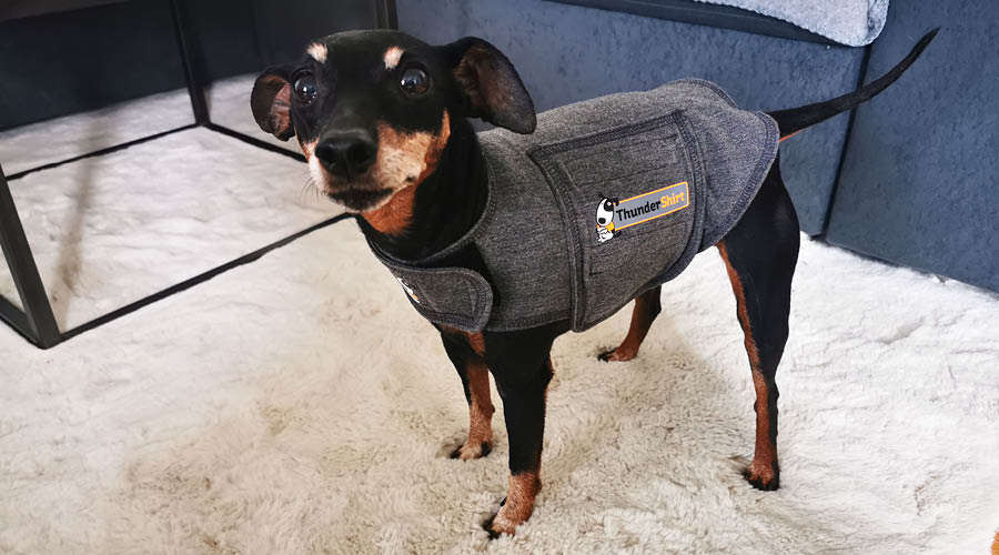 Foulards & Thundershirt