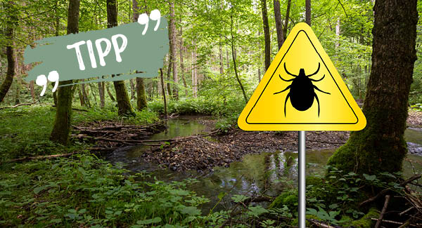 Frei von Zecken die Welt entdecken