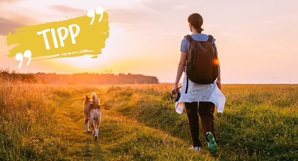 Randonnée avec un chien - Conseils pour l'aventure