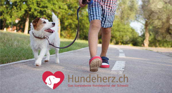 Kantonale Leinenpflicht während der Brut- und Setzzeit.