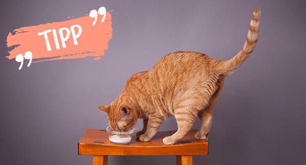 Mit Vorsicht zu geniessen