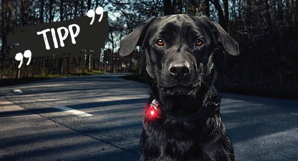 La bonne lampe à coup sûr