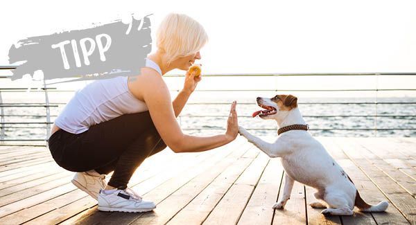 Für ein sauberes High-Five