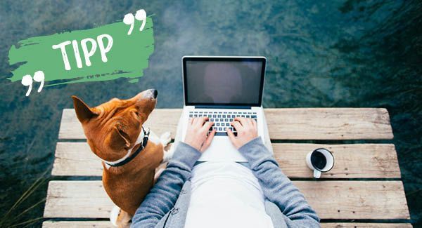 Frühzeitige Planung