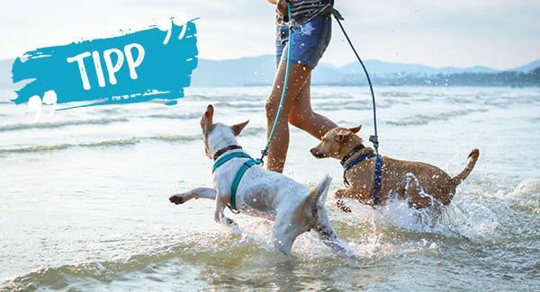 Rücksichtnahme gegenüber Mensch und Tier