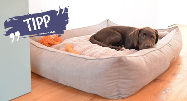 Für einen gesunden Schlaf