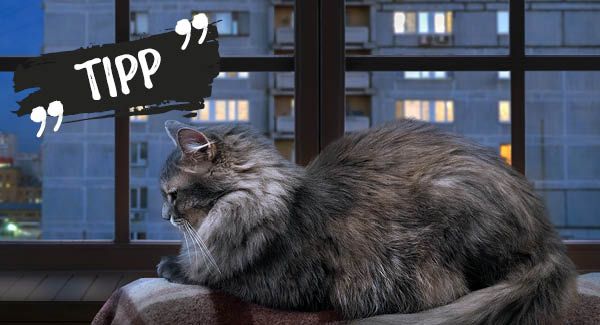 Passer la nuit au chaud