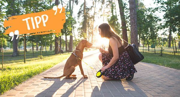 Le monde appartient à ceux qui se lèvent tôt